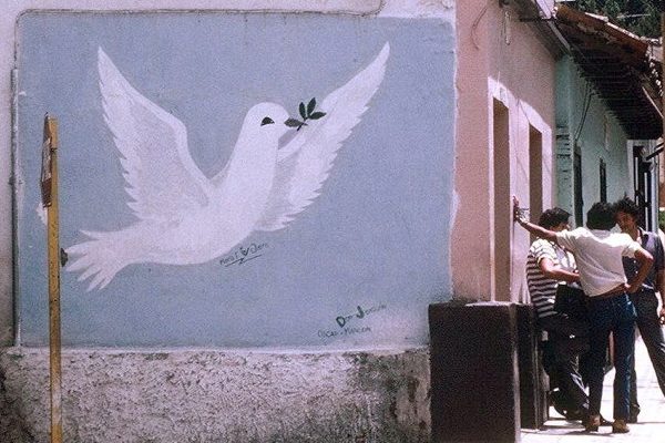 Dove mural on wall
